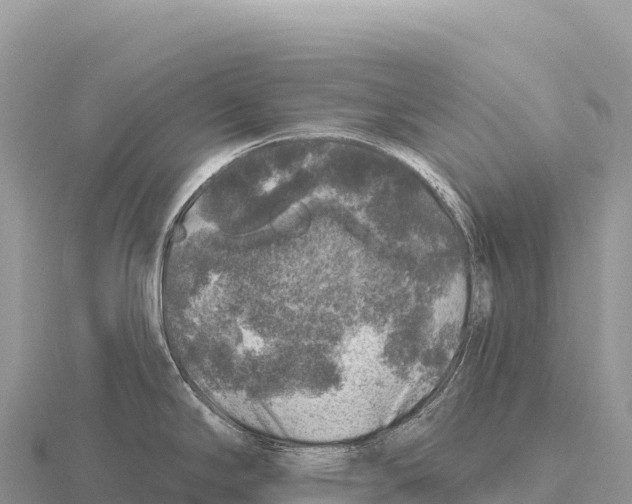 X0000116011294200912171003