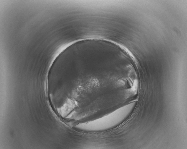 X0000116011295200912171003