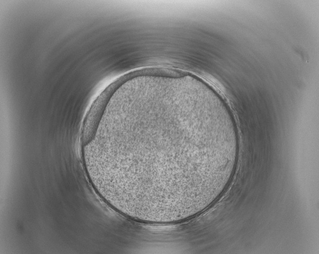 X0000116011296200912171003