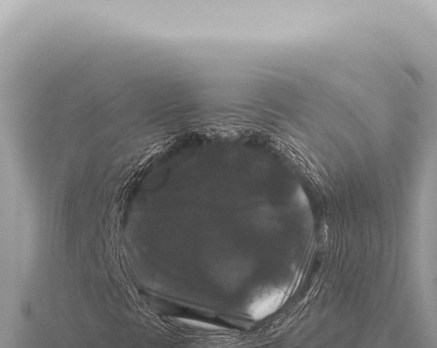 X0000116011297200912171002