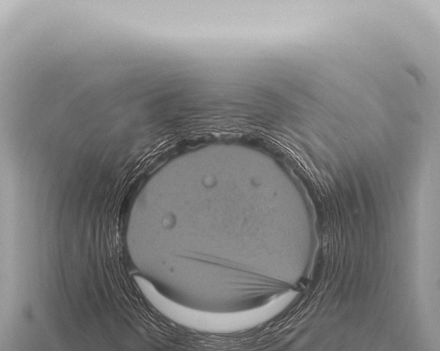 X0000116011298200912171002