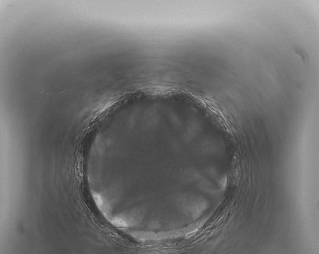 X0000116011301200912171002