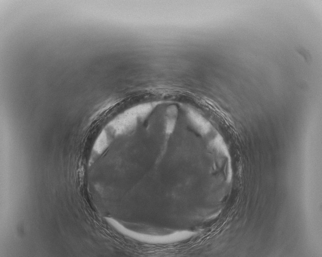 X0000116011302200912171002