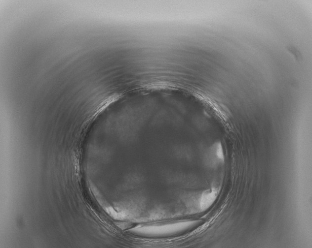 X0000116011305200912171002