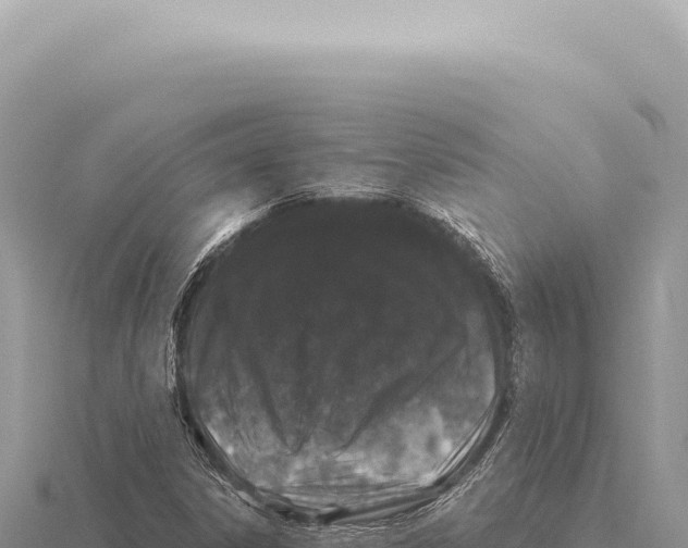 X0000116011306200912171002