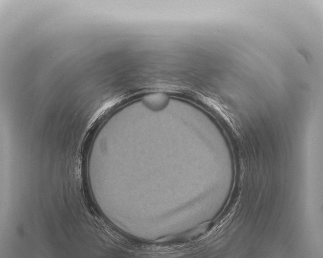 X0000116011307200912171002