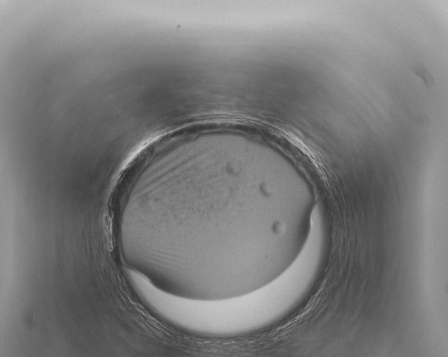 X0000116011310200912171002