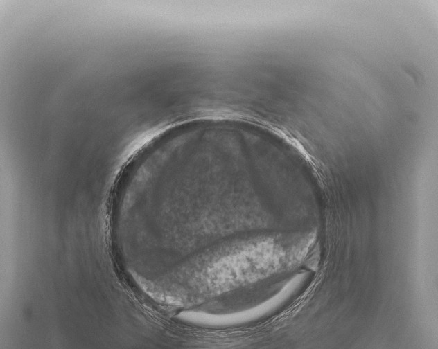 X0000116011311200912171002