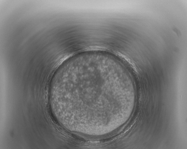 X0000116011313200912171002