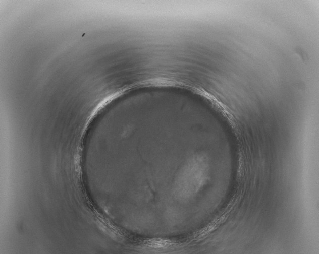 X0000116011314200912171002