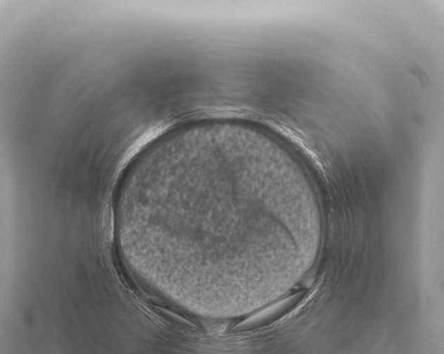 X0000116011317200912171003