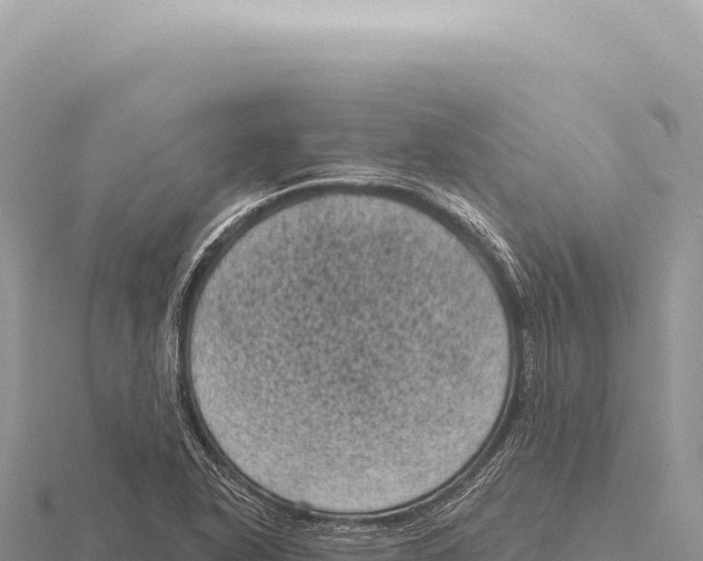 X0000116011318200912171003