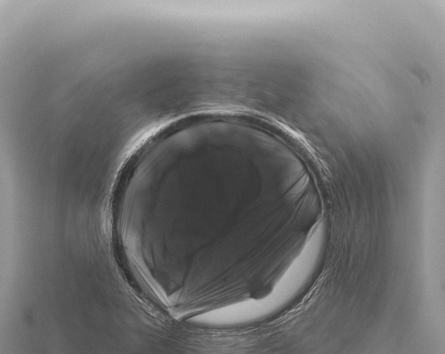 X0000116011319200912171003