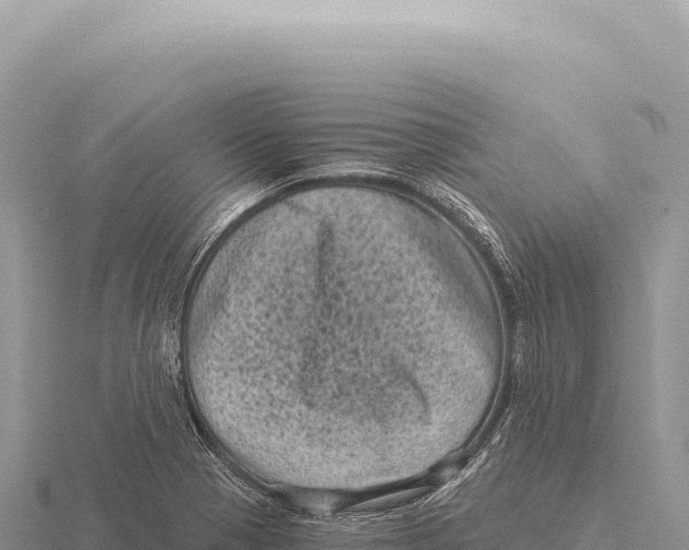 X0000116011321200912171003