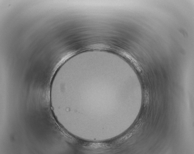 X0000116011322200912171003