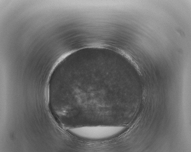 X0000116011323200912171003