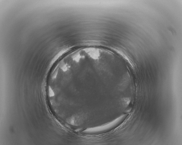 X0000116011325200912171003