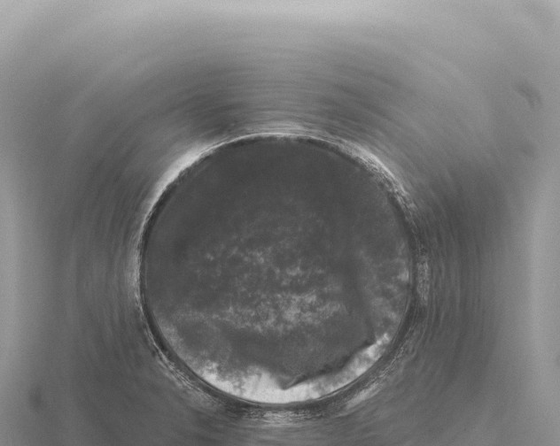 X0000116011326200912171003