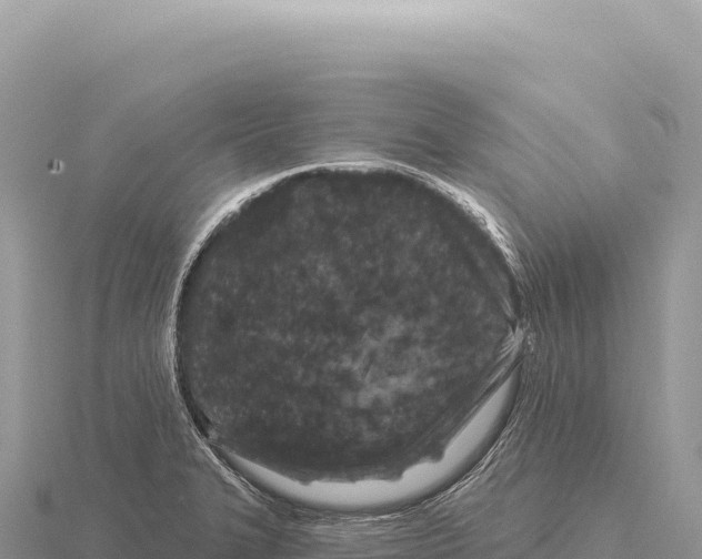 X0000116011327200912171003