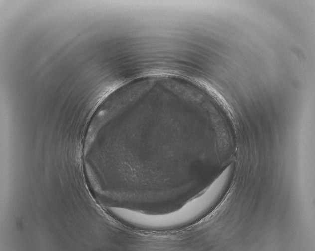 X0000116011329200912171003