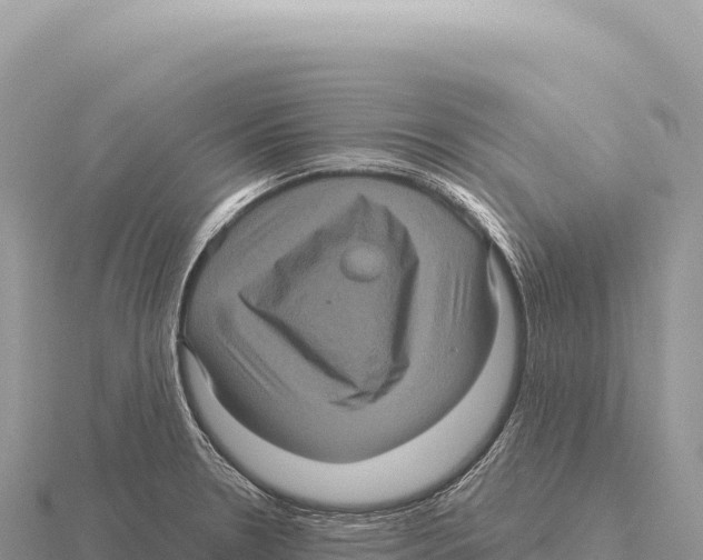 X0000116011330200912171003