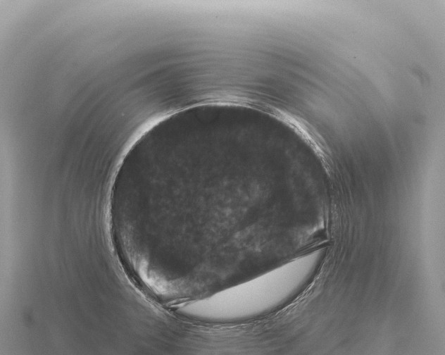 X0000116011331200912171003