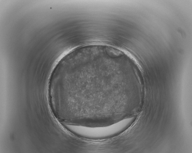 X0000116011333200912171003