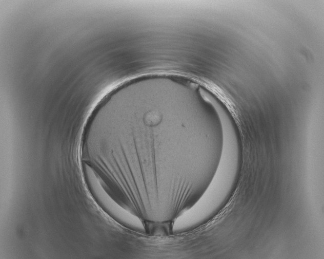 X0000116011334200912171003