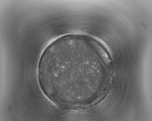 X0000116011335200912171003