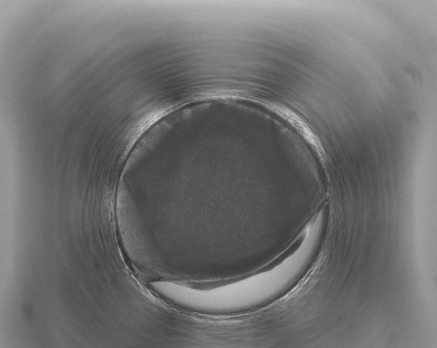 X0000116011337200912171003