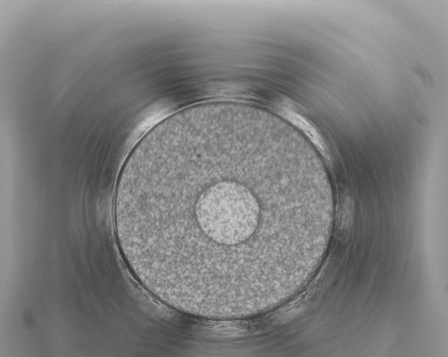 X0000116011338200912171003