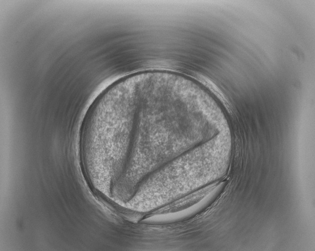 X0000116011339200912171003