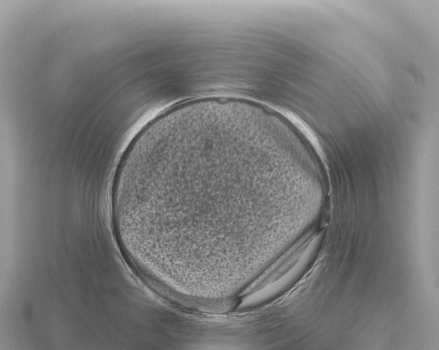 X0000116011341200912171003