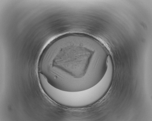 X0000116011342200912171003