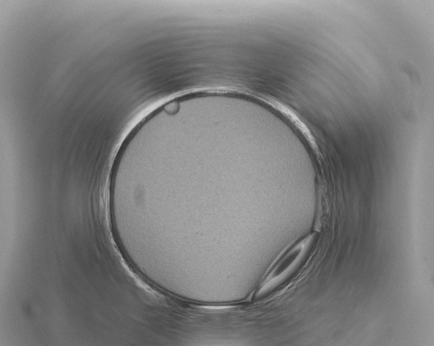 X0000116011343200912171003