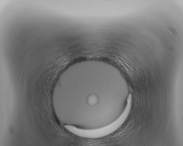 X0000116011345200912171002