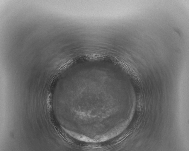 X0000116011346200912171002