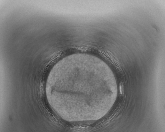 X0000116011347200912171002