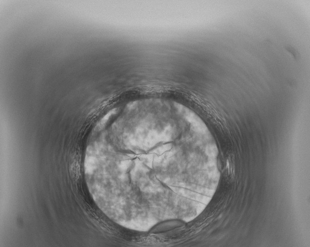 X0000116011348200912171002