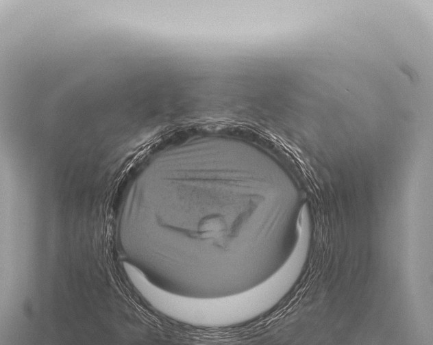 X0000116011349200912171002