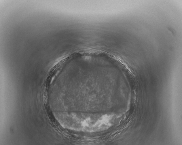 X0000116011350200912171002