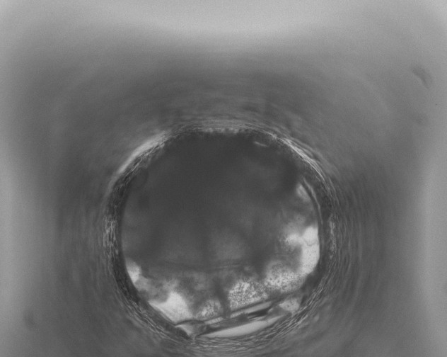 X0000116011351200912171002