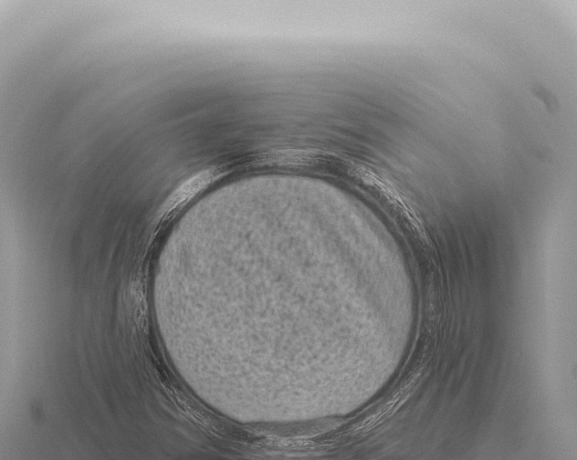 X0000116011354200912171002