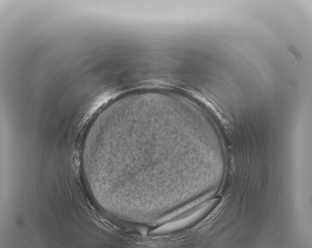 X0000116011355200912171002