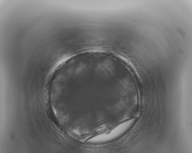 X0000116011359200912171002