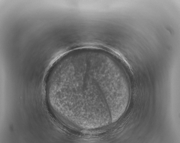 X0000116011360200912171002