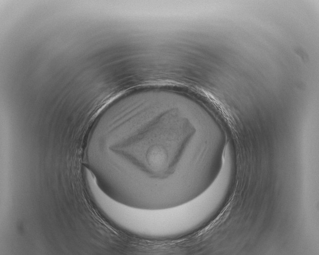 X0000116011361200912171002