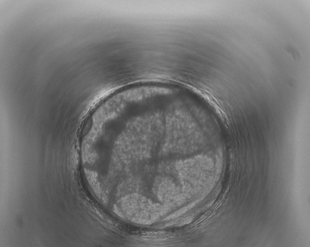 X0000116011363200912171002