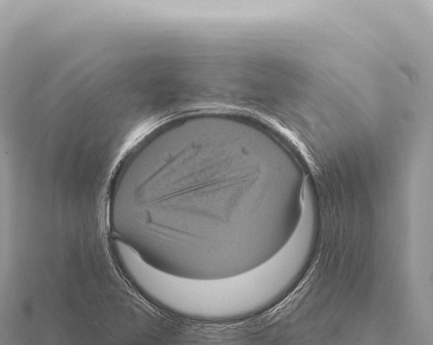 X0000116011365200912171002