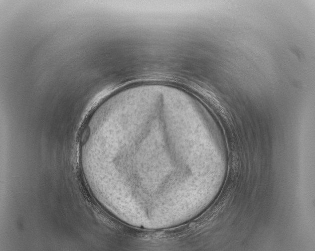 X0000116011366200912171002